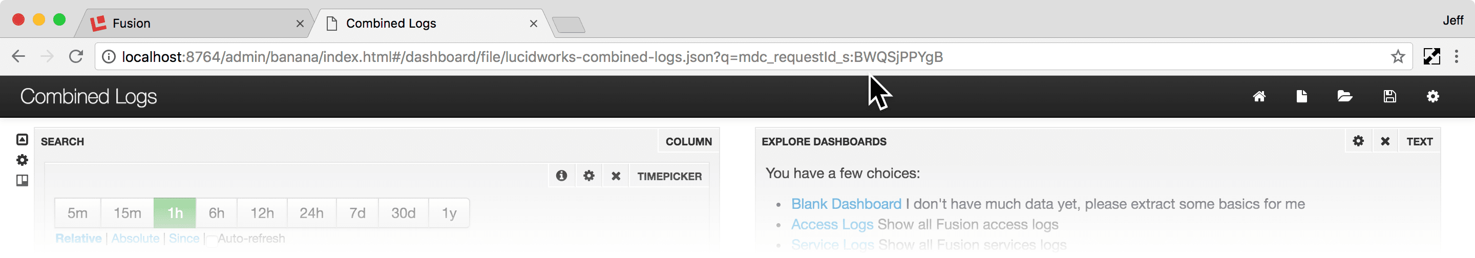 Combined Logs URL