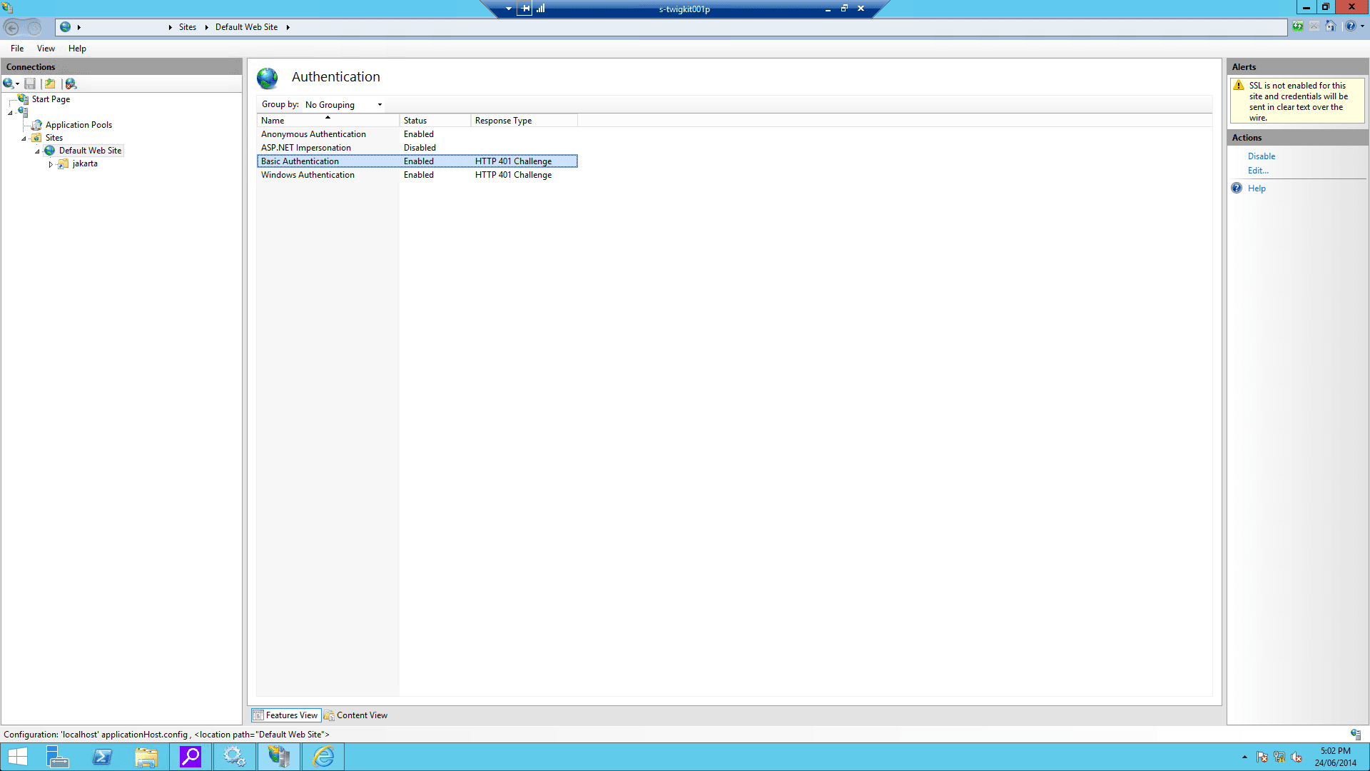 IIS screenshot